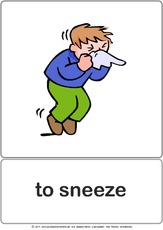 Bildkarte - to sneeze.pdf